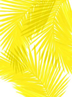 236x320 Yellow Watercolor Background Watercolor Background