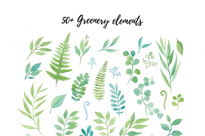 720x479 Watercolor Greenery Collection By Sharkampcroc Co.
