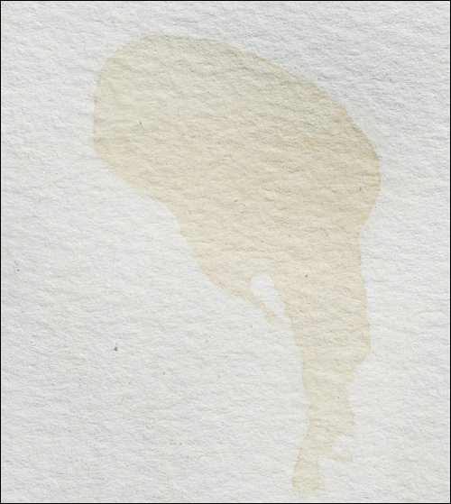 500x559 Using Bleach To Remove Tough Stains From Watercolor Paper