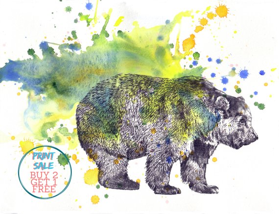 570x438 Grizzly Bear Art Animal Watercolor Painting Print Unique Etsy