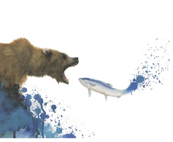 570x467 Grizzly Bear Watercolor Print Etsy