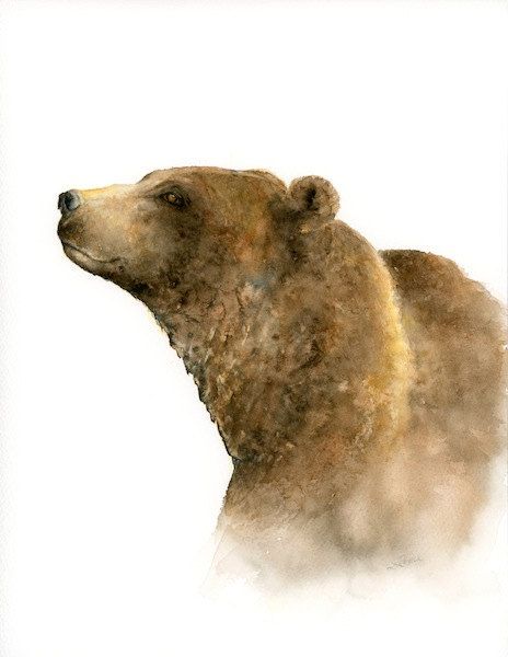 464x600 Grizzly Bear Print Of Watercolor Painting, Brown Bear Forest