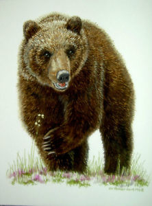 222x300 Original Watercolor Grizzly Bear Carnivore Wildlife Art Sally