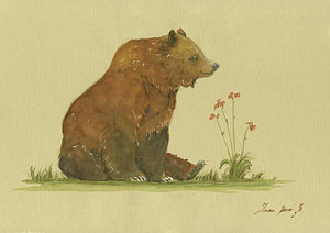 300x212 Bear Watercolor Paintings Fine Art America
