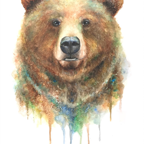 500x500 Colors Of The Wild Watercolor Originals