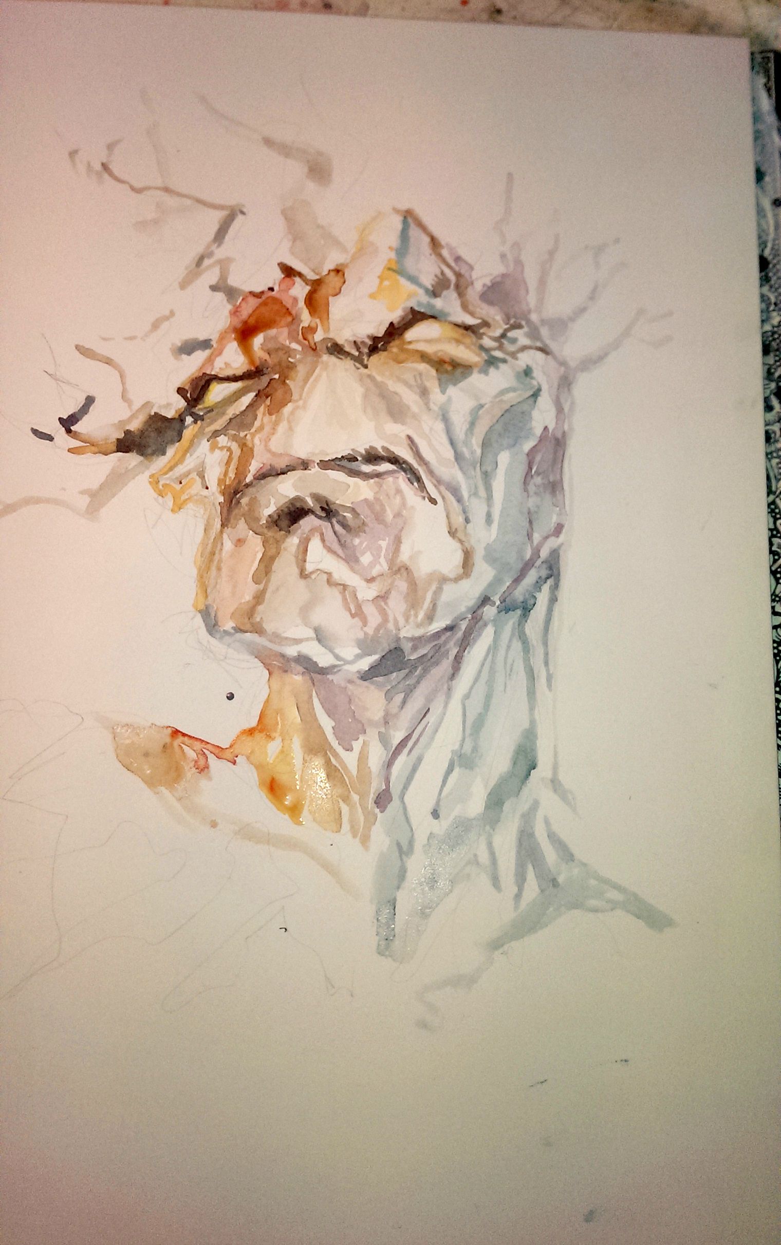 1520x2424 Watercolor Process