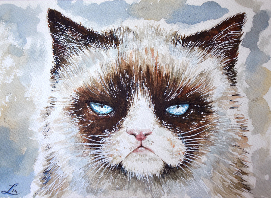 900x656 Grumpy Cat Watercolor By Lauramss