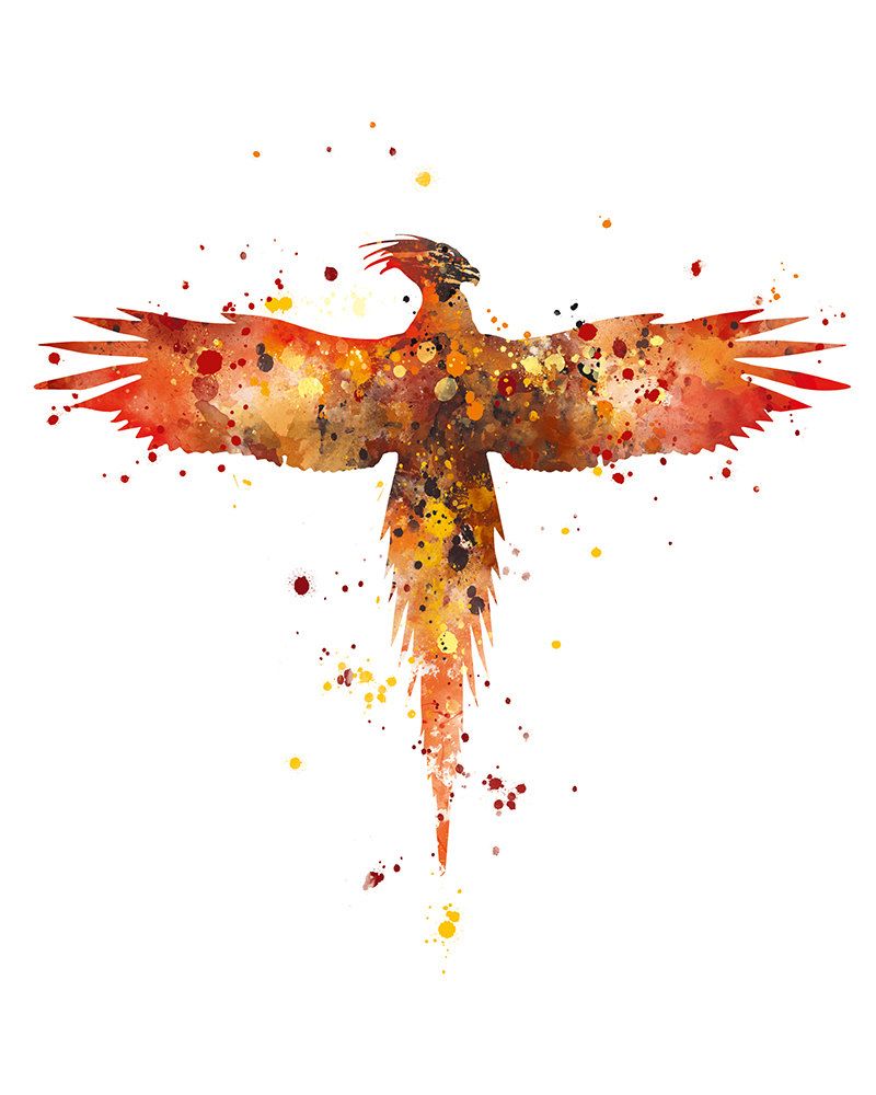 800x1000 Phoenix, Art Print, Fawkes, Gryffindor, Hogwarts, Creature, Animal