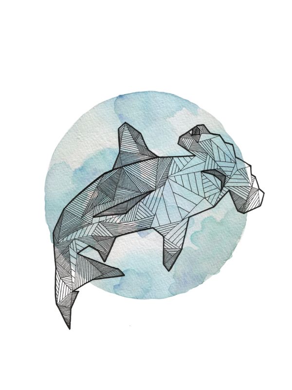 600x800 Drawn Dolphins Shark