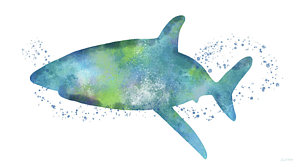 300x167 Hammerhead Shark Paintings Fine Art America