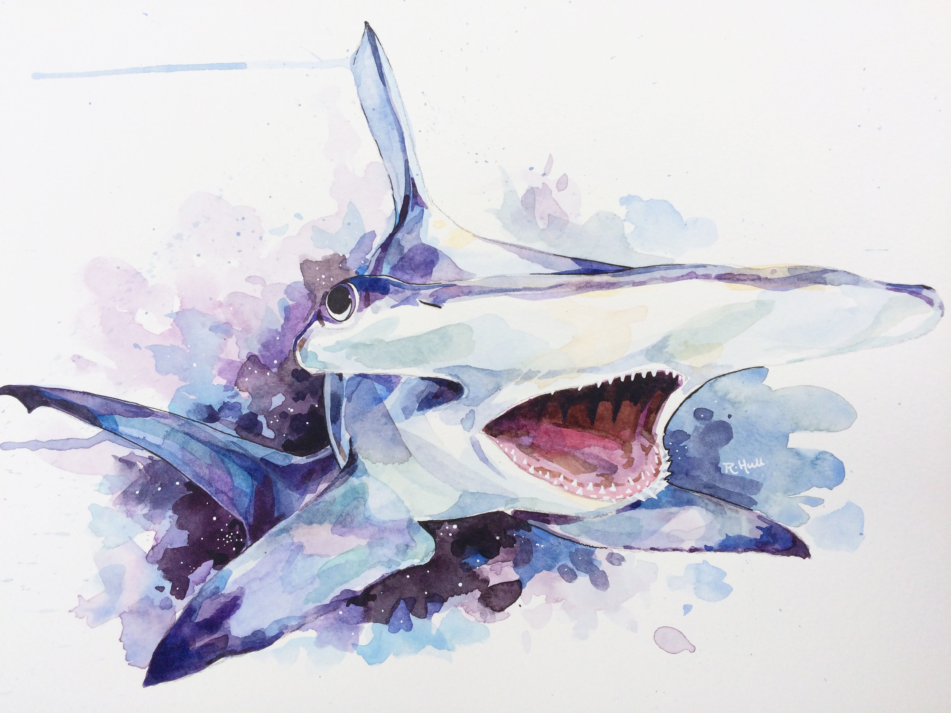 3264x2448 Hammerhead Shark In Space Watercolour 12 X 16in