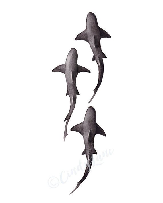 570x713 School Of Sharks Watercolor Instant Download Watercolor Shark Etsy