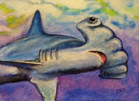 540x391 Colleen K Carrigan Aceo Hammerhead Shark Painting