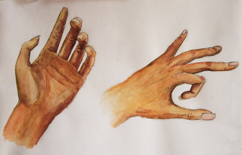 800x514 Hand Watercolor By Hollyshadow
