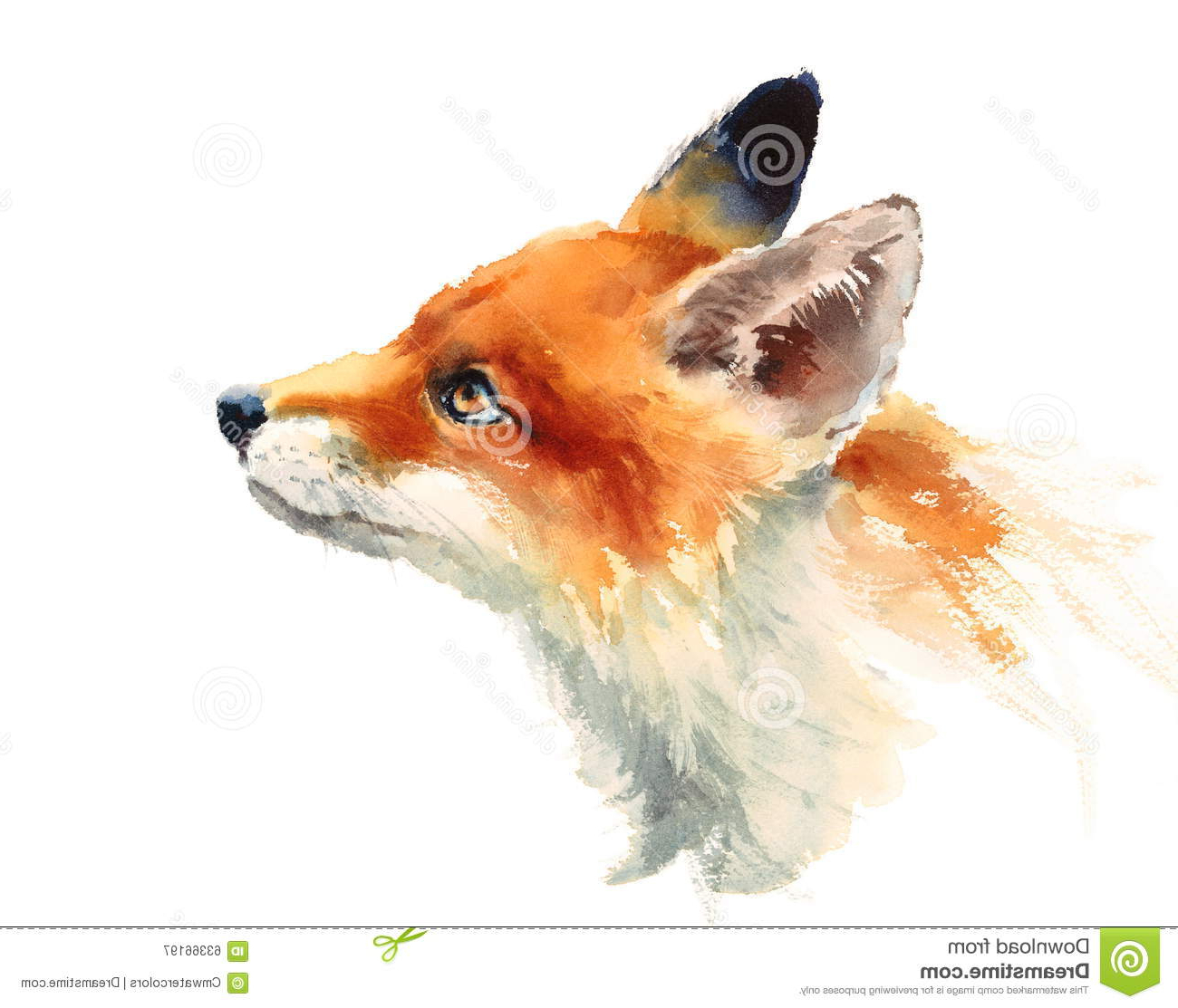 1300x1113 Watercolor Painting Of Animals Fox Looking Up Watercolor Animals