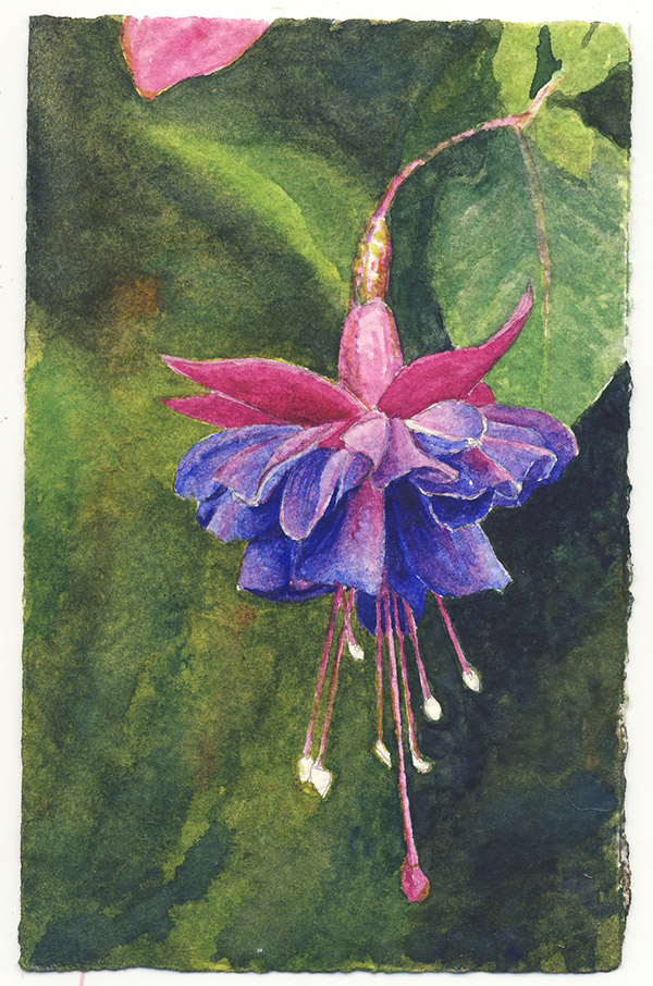 600x906 Paint And Paper Making A Watercolor