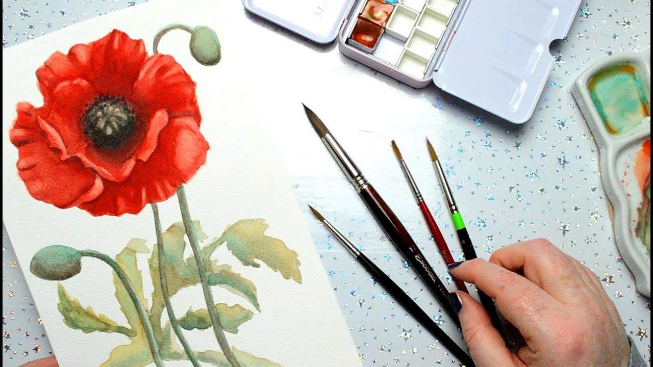 1280x720 Painting A Watercolor Poppy With Handmade Watercolors