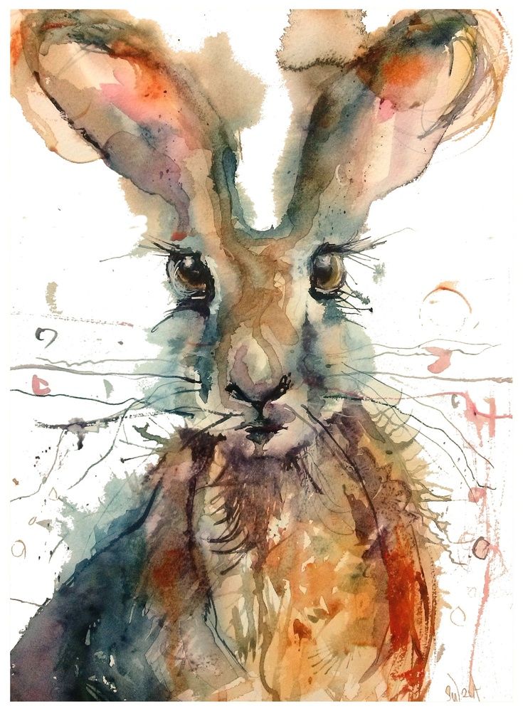 735x999 324 Best Animal, Watercolour . Images Animal