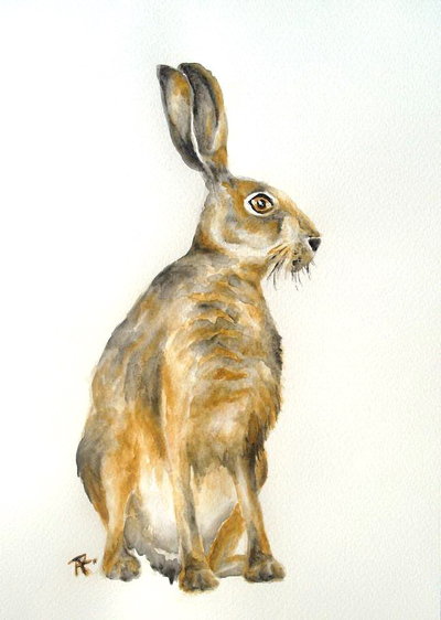 400x562 Hare Watercolor By Sushishef