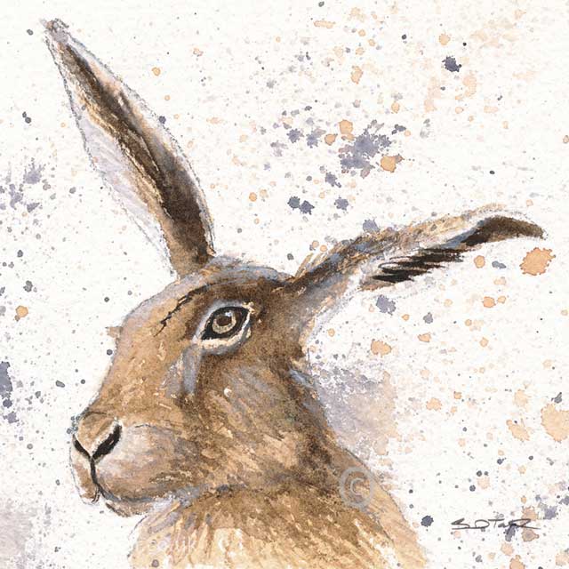 640x640 Mr Hare In Watercolour