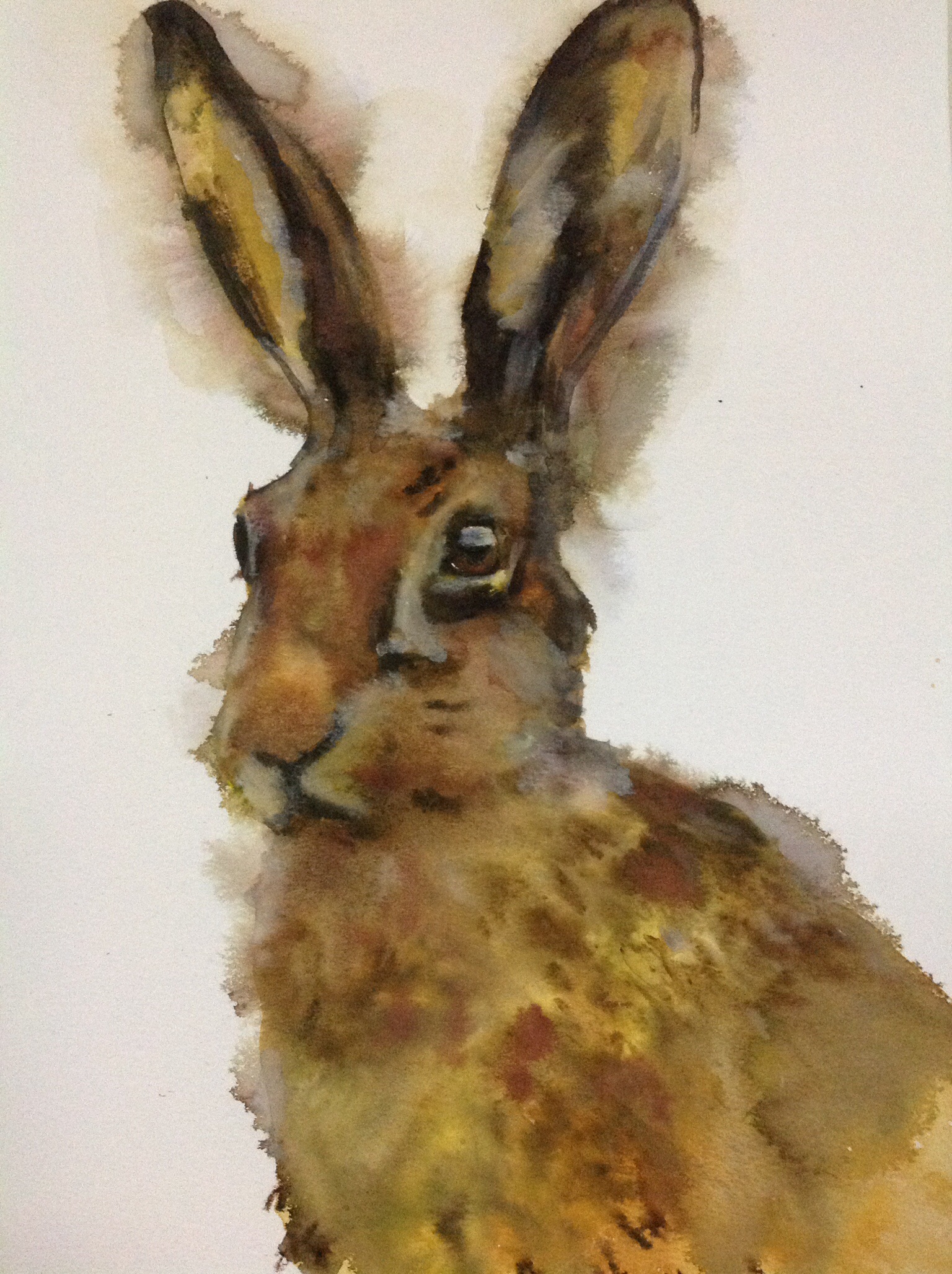 1536x2056 Watercolour Hare Appearing As If By Magic Rebeccaevans Create