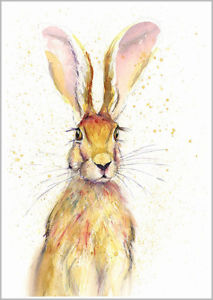 213x300 Helen Rose Limited Print Of My Hare Animal Art Watercolour 388 Ebay