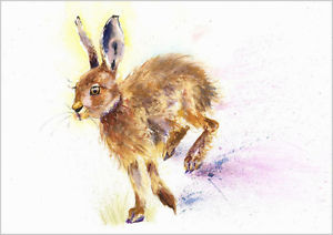 300x212 Helen Rose Limited Print Of My Hare Wildlife Art Watercolour 143