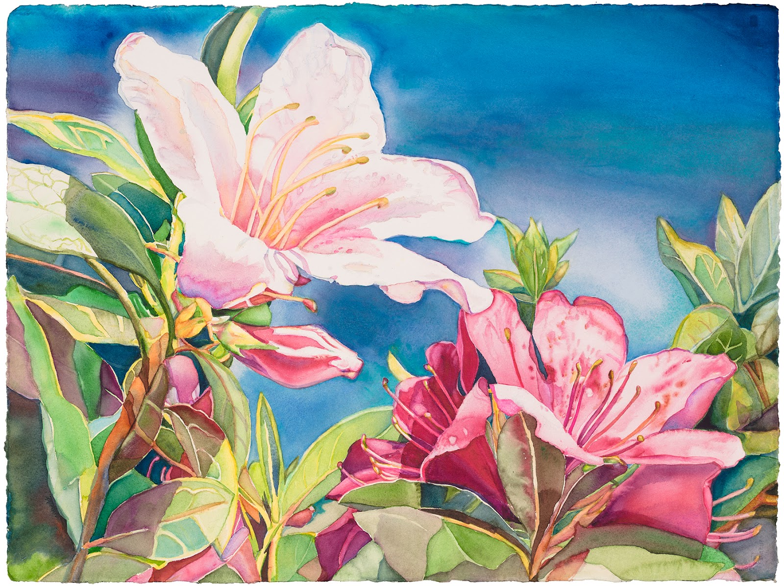 1600x1197 Diane Tunnell Watercolors