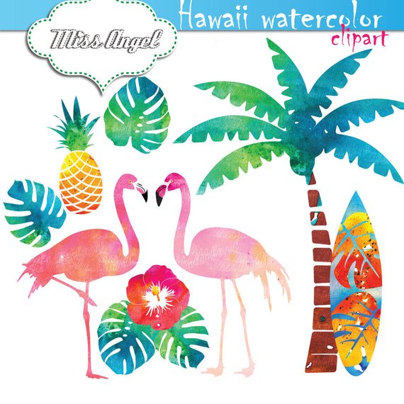 570x570 Flamingo Watercolor Clip Art. Hawaii Watercolor Flamingos. Etsy
