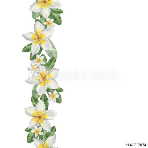 500x500 Hawaiian Flowers. Seamless Border. Watercolor Illustration. Hand