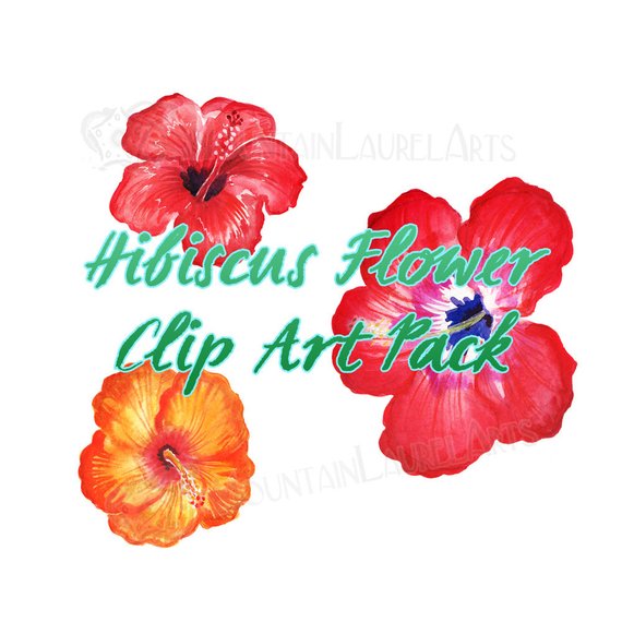 570x570 Hibiscus Watercolor Clip Art Scrapbooking Digital Collage Etsy