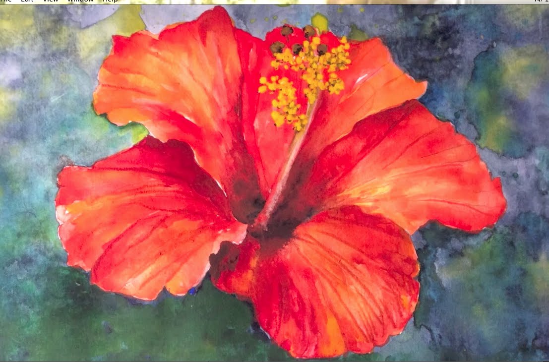 1107x730 Hibiscus Flower Watercolor Tutorial, An Easy Step By Step Lesson