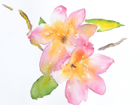 570x428 Original Watercolor Print Plumerias Hawaiian Flowers Etsy