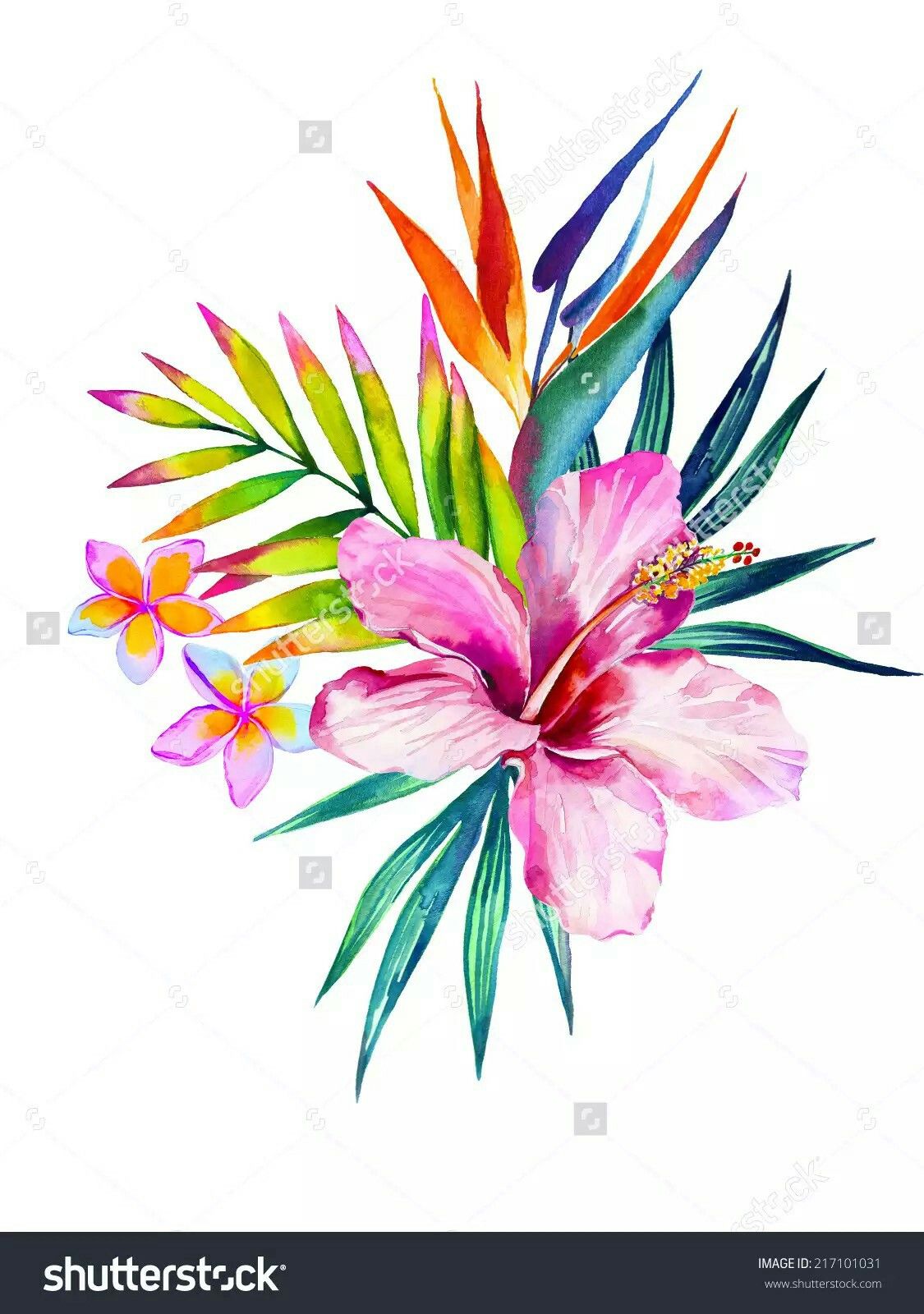 1125x1600 Pin By Alice Bigotti On Fiori Tattoo, Watercolor And