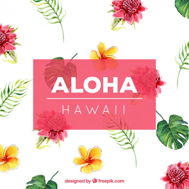 626x626 Watercolor Hawaiian Flowers Background Vector Free Download