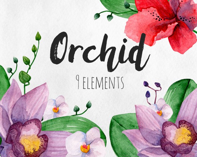 642x511 Watercolor Orchid Clipart Hawaii Flowers Clip Art Watercolor Etsy