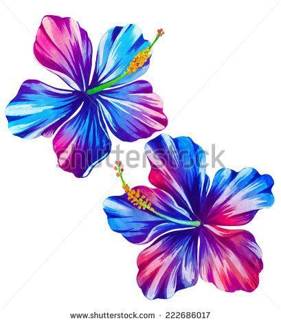409x470 Tropical Hibiscus. Exotic Flower Watercolor Illustration