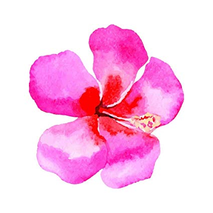 425x425 Watercolor Painted Hibiscus Hawaiian Flower Full