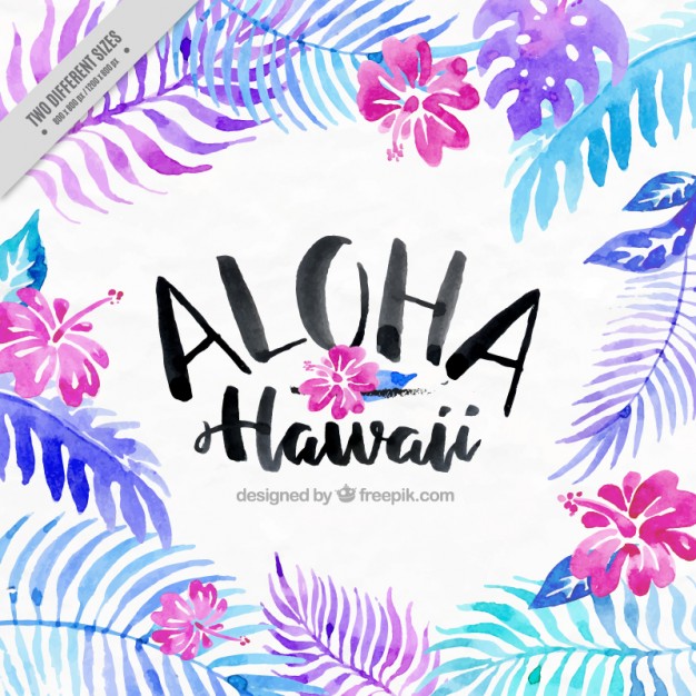626x626 Hawaii Vectors, Photos And Psd Files Free Download