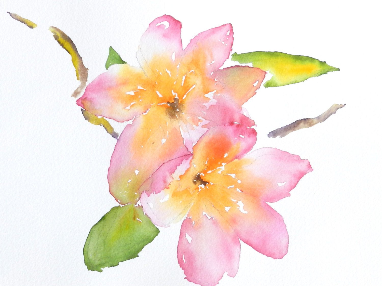 1500x1125 Original Watercolor Print Plumerias Hawaiian Flowers Etsy