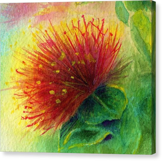 546x543 Hawaii Watercolor Canvas Prints