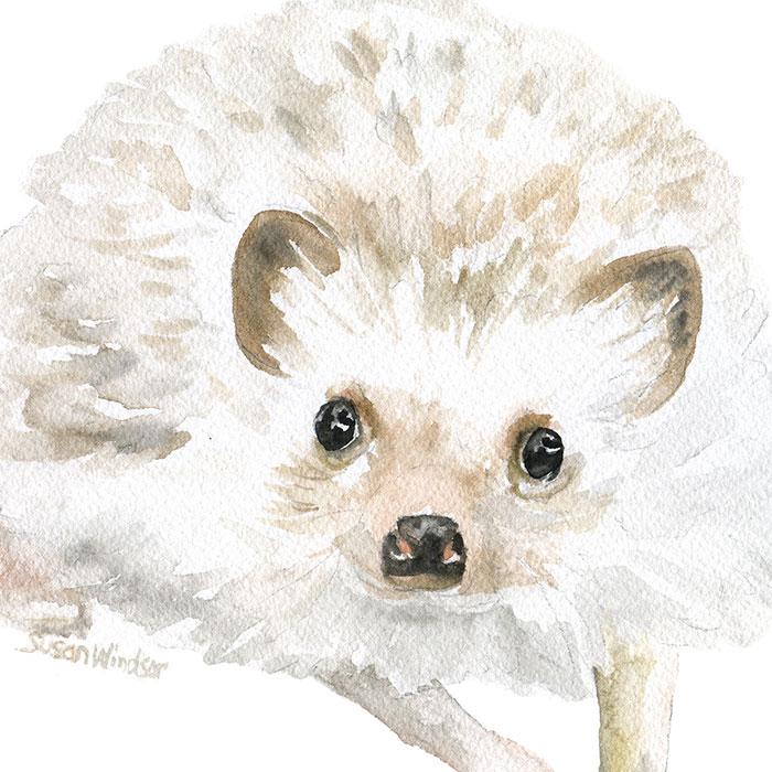 700x700 Hedgehog Original Watercolor Painting Susan Windsor