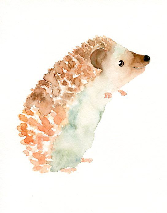 544x691 Hedgehog Watercolor By Dimdi Sketch Drawings In 2018