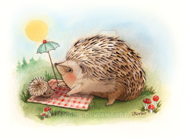 600x450 Hedgehog Watercolor 1 By Bluebirdie