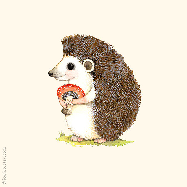 640x640 Hedgehog Watercolor Painting Watercolor And Acrylic Ink