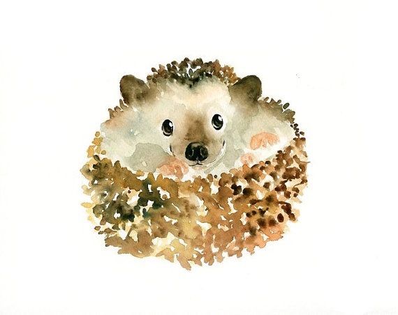 570x452 Hedgehog Watercolors