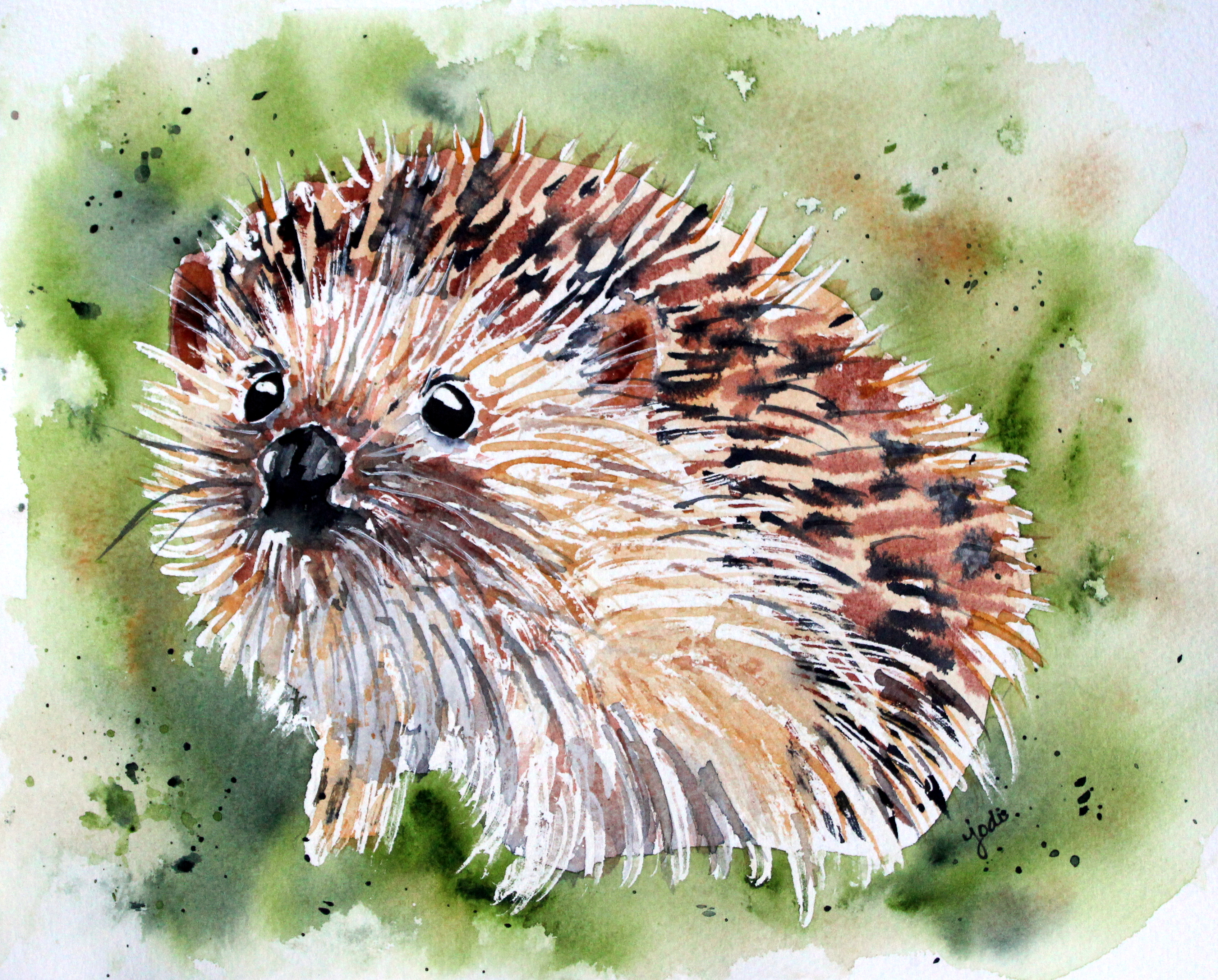 3389x2727 July 2017 The Creative Life In Between