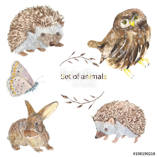 500x500 Set Of Animals. Owl, Hedgehog, Butterfly, Bunny Set Of Animals