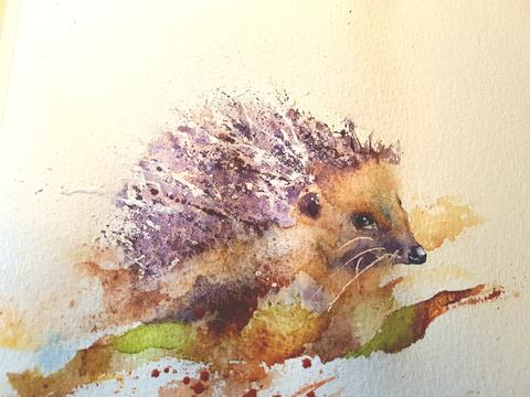 480x360 Seven Steps To Painting A Hedgehog Watercolours By Rachel