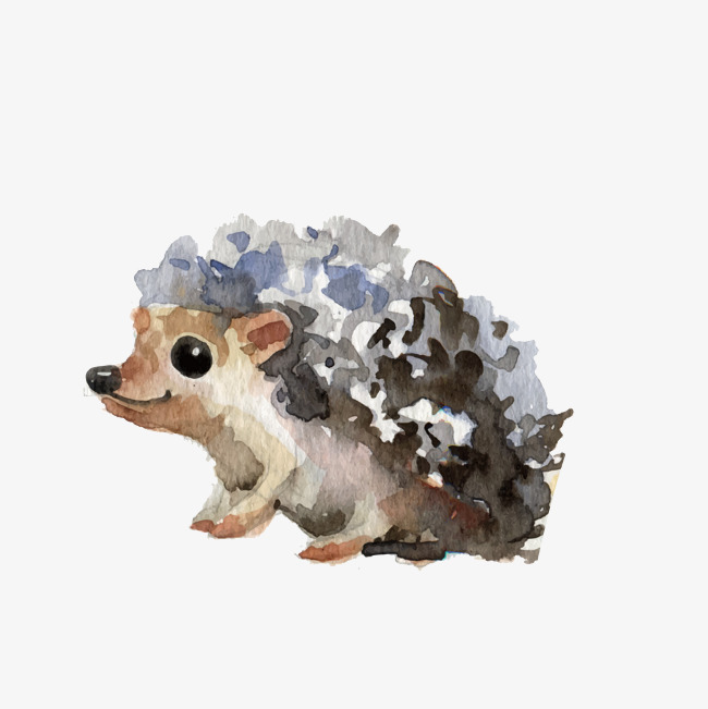 650x651 Watercolor Little Hedgehog, Vector, Watercolor, Art Png And Vector